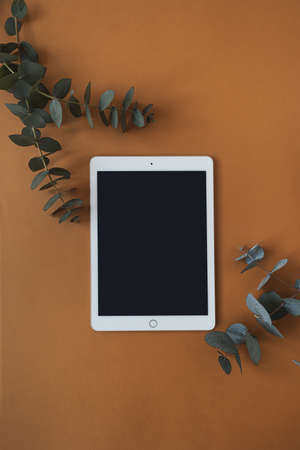 Blank screen tablet pad with empty copy space, dry eucalyptus branch on deep red background. Flat...