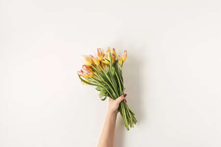 Female hand holding colorful tulip flowers bouquet against white wall. Holiday celebration festive floral conceptの写真素材