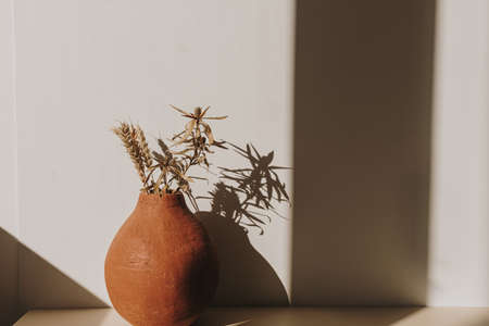 Red handmade clay flower pot with dry wheat / rye bouquet in sunlight shadows on white background. Minimal modern interior decoration concept.の写真素材