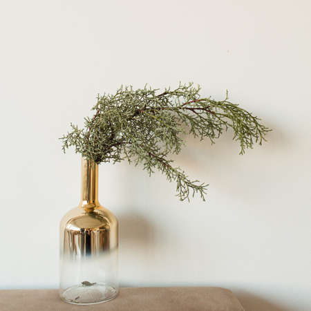 Fir branches in gold bottle vase on neutral beige background. Minimal interior design concept.の写真素材