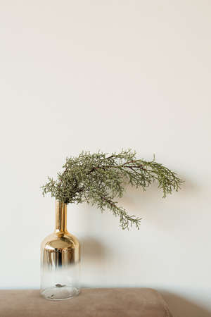 Fir branches in gold bottle vase on neutral beige background. Minimal interior design concept.の写真素材