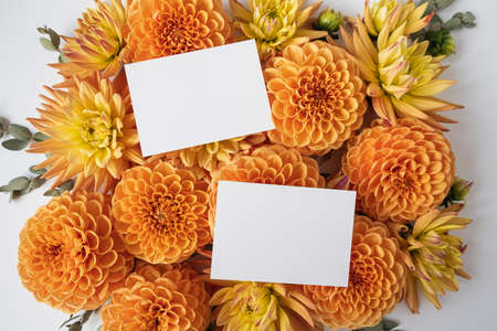 Blank paper cards. Copy space mockup template. Frame made of beautiful ginger dahlia flower buds on...