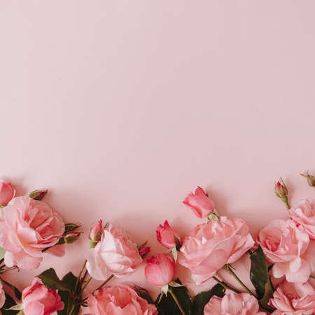 Beautiful pink roses flowers on pink background. Flatlay, top view minimalistic floral composition. Valentine's Day / Mother's Day holiday concept.の写真素材