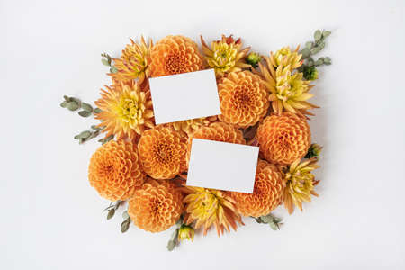 Blank paper cards. Copy space mockup template. Frame made of beautiful ginger dahlia flower buds on...