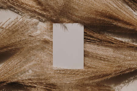 Blank paper business cards with mockup copy space on beige tan pampas grass background. Minimal...