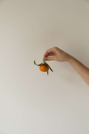 Female hand hold orange, tangerine fruit against white wall. Healthy fresh food.の写真素材
