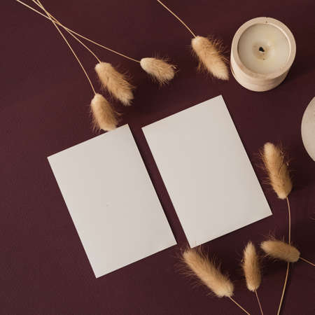 Blank paper sheet card with mockup copy space and rabbit bunny tail grass with sunlight shadow on burgundy background. Minimal business brand template. Flat lay, top viewの写真素材