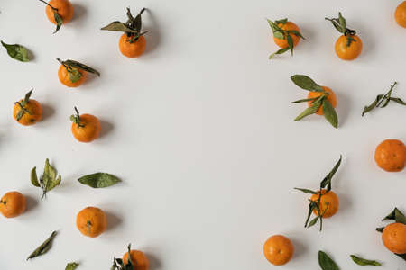 Frame with copy space. Oranges, tangerines with leaves pattern. Fresh healthy fruits, food background. Flatlay, top view.の写真素材