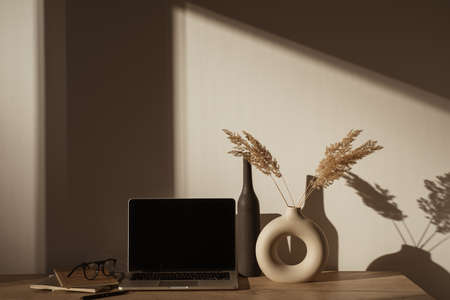 Aesthetic home office desk workspace with sunlight shadows on the wall. Blank screen laptop computer...