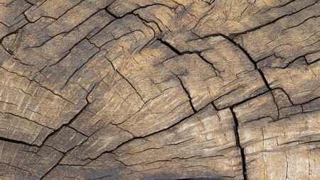 Wooden texture backgrond close up brown colorの写真素材