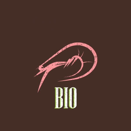 vintage illustration with a shrimpのイラスト素材