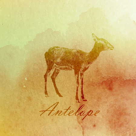 vector vintage illustration of a watercolor antelope on the old paper textureのイラスト素材
