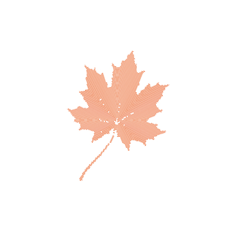 autumn maple leaf.  illustration of a engraved maple leaf. autumn conceptのイラスト素材