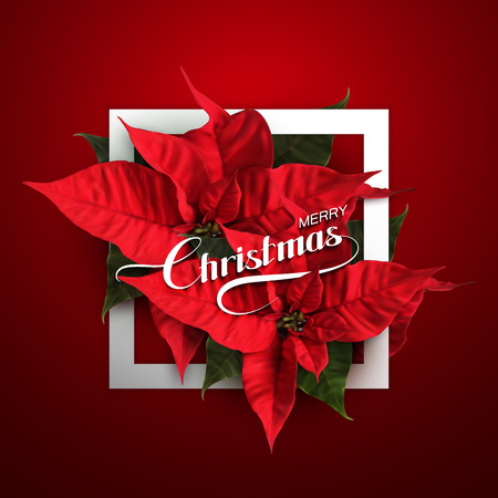 Merry Christmas. Vector Holiday Illustration With Lettering Label And Poinsettia Flowersのイラスト素材