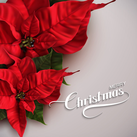 Merry Christmas. Vector Holiday Illustration With Lettering Label And Poinsettia Flowersのイラスト素材