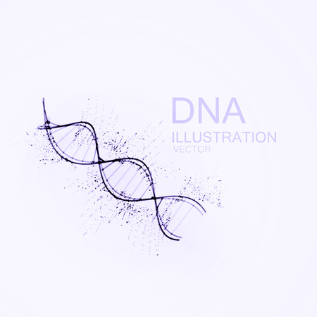 DNA chain. Vector illustration of DNA strand and particles. Artistic ink imitation vector illustration. Science or Medical conceptのイラスト素材