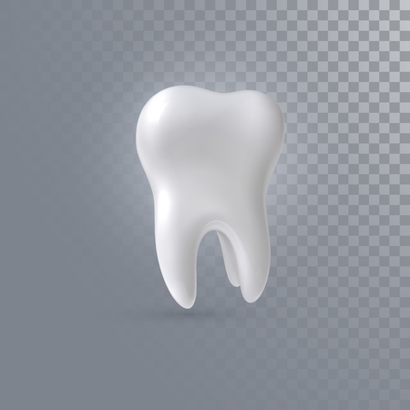 Realistic 3d tooth isolated on transparent background. Vector dentistry illustration. Medical or healthcare conceptのイラスト素材