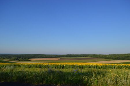 landscape fieldの写真素材