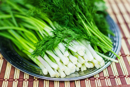 Onions and parsley on a aluminum trayの写真素材
