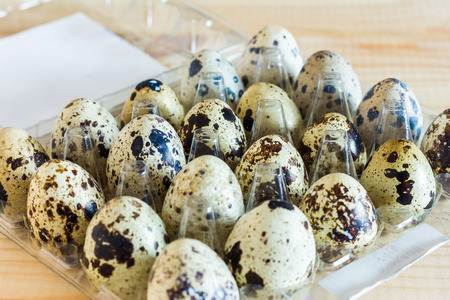 Quail eggs in a plastic trayの写真素材