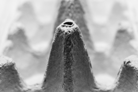 Conceptual photo of container for eggs Package for raw chicken egg.の写真素材