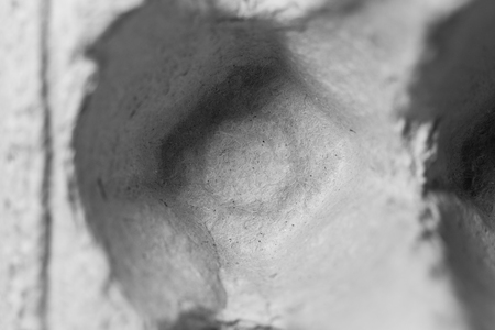 Conceptual photo of container for eggs Package for raw chicken egg.の写真素材