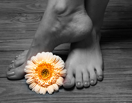 Female feet with flowers on a wooden backgroundの写真素材
