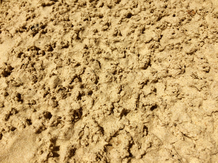 Sand texture