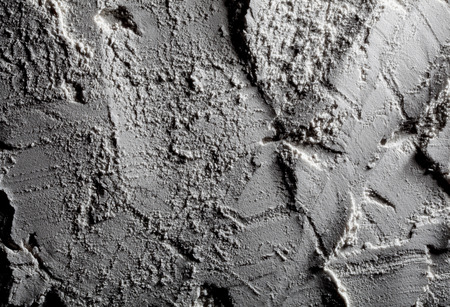 The surface of the moon. Space. The texture of the sand on the moon