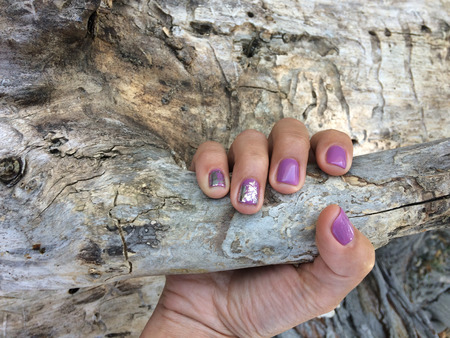 Female hand holding a branch of a tree. A sample of purple manicure. Beautiful well-groomed nails.の写真素材