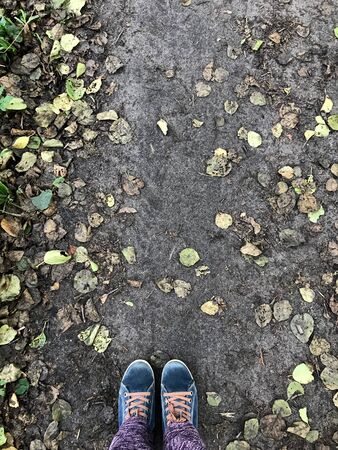 legs in sneakers on autumn track top viewの写真素材