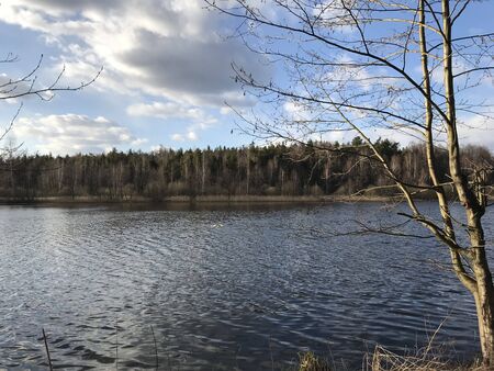 Green trees by the lake on a sunny day, with clouds on the skyの写真素材