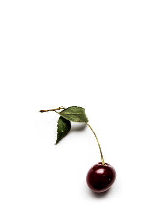 cherry on a white background. cherry on a white background.の写真素材