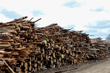 Logs stacked on logging and woodworking industry. A stock pile of timber, chopped down trees. Timber...