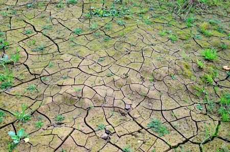 Dry lake or swamp in the process of drought and lack of rain or moisture, a global natural disaster. The cracked soil of the earth due to climate change. Hydrological drought, ccological catastrophyの写真素材