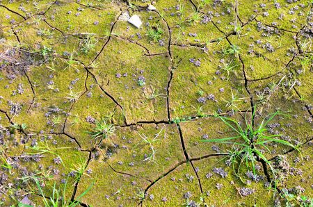Dry lake or swamp in the process of drought and lack of rain or moisture, a global natural disaster. The cracked soil of the earth due to climate change. Hydrological drought, ccological catastrophyの写真素材