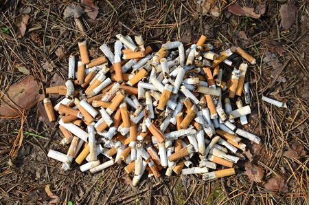 A lot of burnt cigarette butts with some ash. Smoking as a global social problem. Nicotine...
