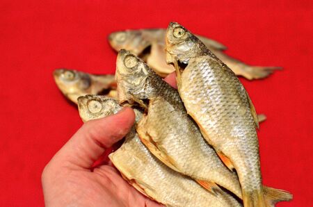 Dried salted fish Vobla on red background. Traditional Russian appetizer. Salty Beer Snackの写真素材