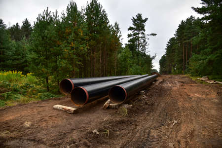 Natural gas pipeline construction work in forest area. Installation of gas and crude oil pipes....