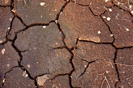 Drainage of swamp for peat extraction. Dry lake in the process of drought and lack of rain or moisture. Dried lake under impact of climate change and drought. Water crisis and ecological catastrophyの写真素材