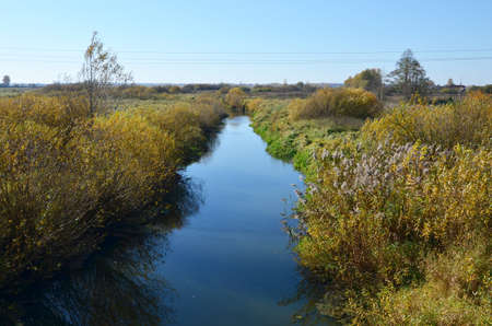 Small river in the countryside among trees with yellow leaves in the autumn. Wildlife concept