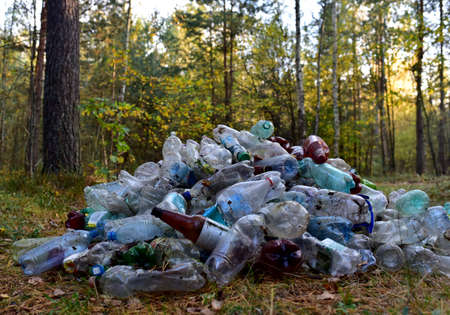 Pile of waste plastic bottles, aluminum can from drinking and paper coffee cup in forest. Plastic...