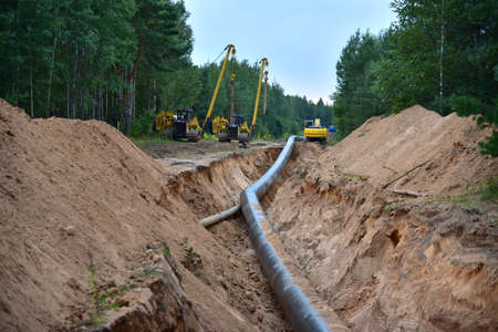Natural gas pipeline construction work in forest area. Installation of gas and crude oil pipes. Pipe...