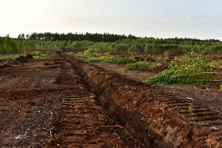 Destruction of trees on peatlands and drainage of peat bogs at extraction site. Development and...