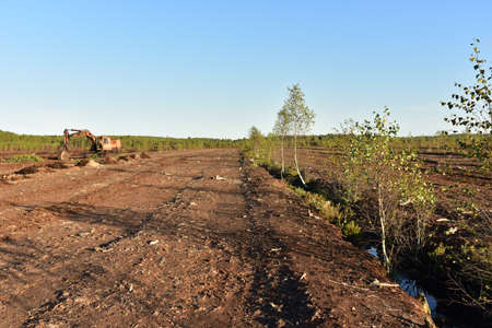 Landscape on peatlands where being development of the peat. Drainage of peat bogs at extraction...