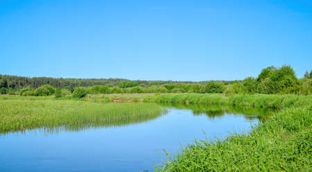 Small river in the middle of a green field against the background of a forest with trees and a blue sky with clouds in summer seasonの写真素材