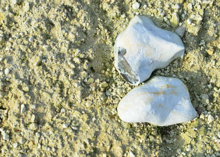 Natural stone mineral. Extraction of minerals used in construction and landscape design. Limestone...
