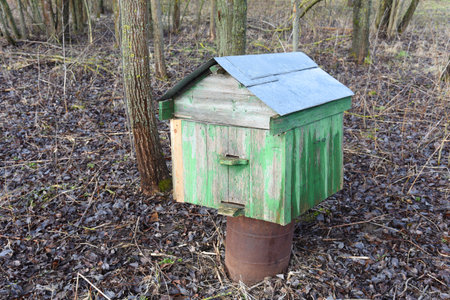 Apiary located in nature for collect honey from honeycomb. Old wooden hive for bees. Beekeeping...