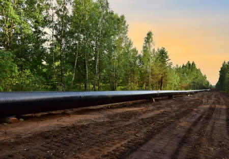 Natural Gas Pipeline Construction. Building of transit petrochemical pipe in forest area. Pipes Weldingの写真素材