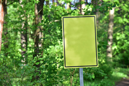 Chicken in an aviary on a farm. Chicken egg production and agricultural business concept. Shooting in natural conditions, possibly blurred focusの写真素材